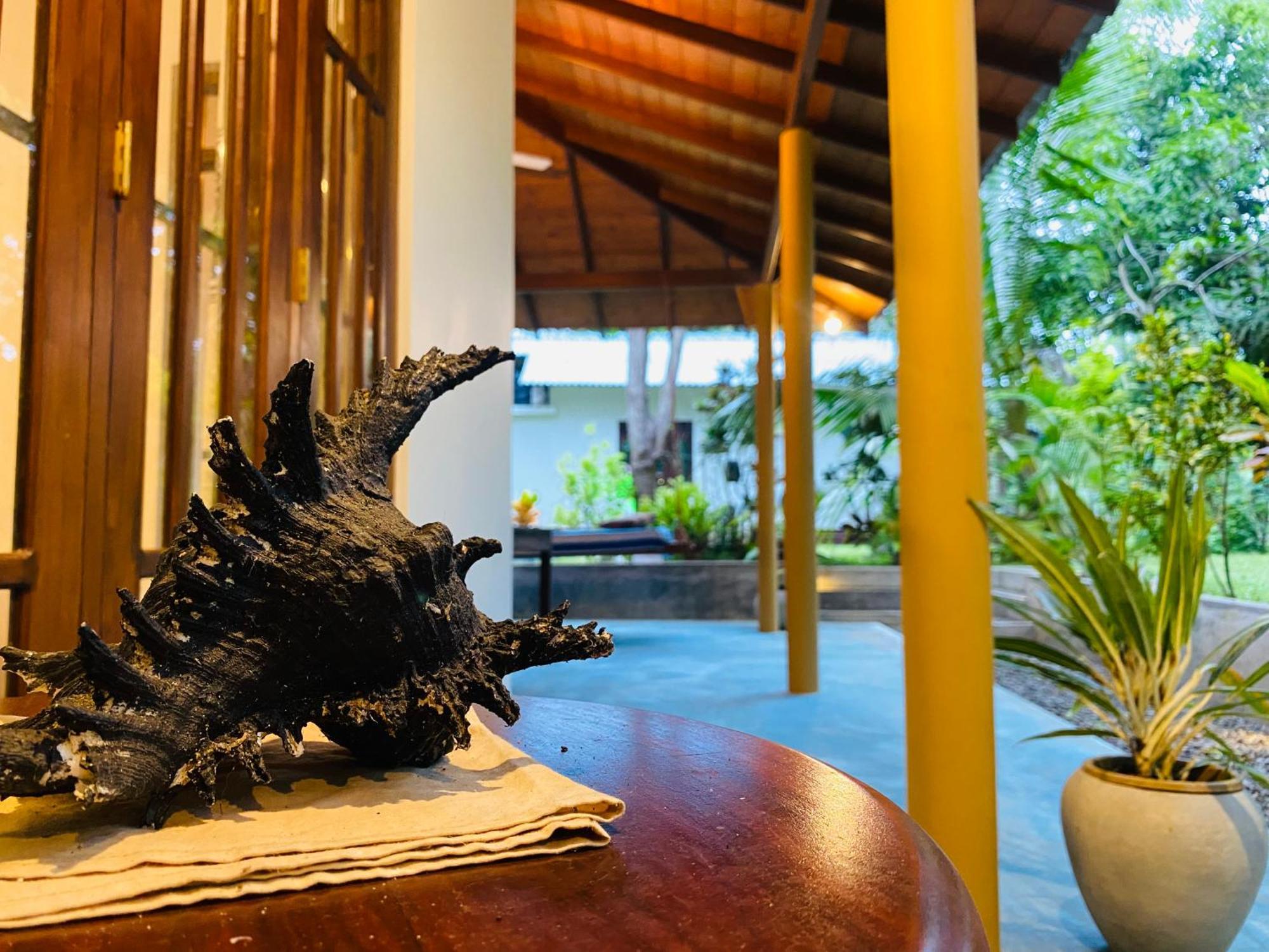 See Turtle Villa Tangalle Zewnętrze zdjęcie